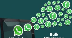 Develop Your WhatsApp Marketing Strategy Through These Means