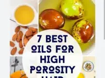 Best Oils For High Porosity hair Oils For High Porosity hair