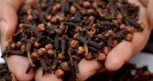 Clove Water For Hair Growth : It’s Benefits And How to Prepare It. Can I have clove on my hair over night