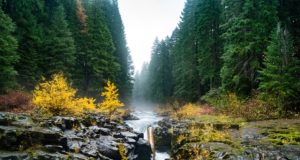 A Farewell Message for My Boyfriend Who Passed Away A Farewell Message for My Boyfriend Who Passed Away