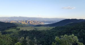 A Farewell Message for My Brother Who Passed Away A Farewell Message for My Brother Who Passed Away