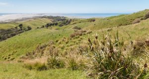 A Farewell Message for My Cousin Who Passed Away A Farewell Message for My Cousin Who Passed Away