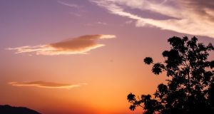 A Farewell Message for My Grandma Who Passed Away A Farewell Message for My Grandma Who Passed Away