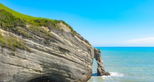 A Farewell Message for My Sister Who Passed Away A Farewell Message for My Sister Who Passed Away