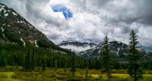 A Farewell Message for My Stepsister Who Passed Away A Farewell Message for My Stepsister Who Passed Away