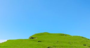 A Farewell Message for a Lecturer Who Passed Away A Farewell Message for a Lecturer Who Passed Away