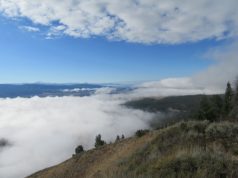 Prayer Quotes for Your Aunt in Heaven Prayer Quotes for Your Aunt in Heaven