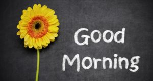 Good Morning Messages for Wife Good Morning Messages for Wife