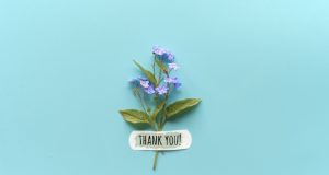 Thank You Quotes for Graduation Thank You Quotes for Graduation