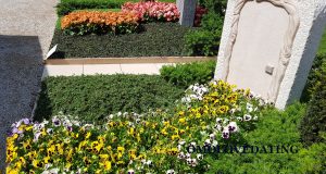 Niec Remembrance Anniversary Quotes for Comfort Niec Remembrance Anniversary Quotes for Comfort