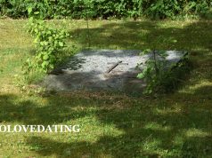 Sibling Loss Anniversary Quotes for Nephew Sibling Loss Anniversary Quotes for Nephew