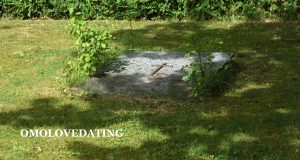 Sibling Loss Anniversary Quotes for Nephew Sibling Loss Anniversary Quotes for Nephew